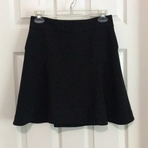 Express Fit and Flare Skirt